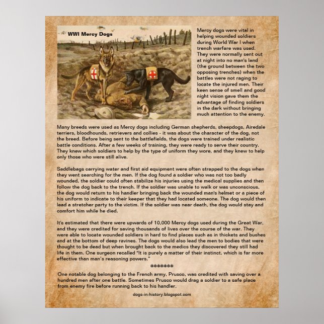 How Mercy Dogs Saved WWI Soldiers on Battlefields Poster (Front)