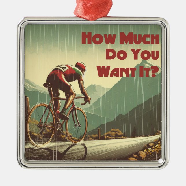 How Much Do You Want It Cycling Metal Ornament (Front)