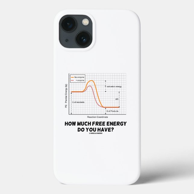 How Much Free Energy Do You Have? Chemistry Humor Case-Mate iPhone Case (Back)
