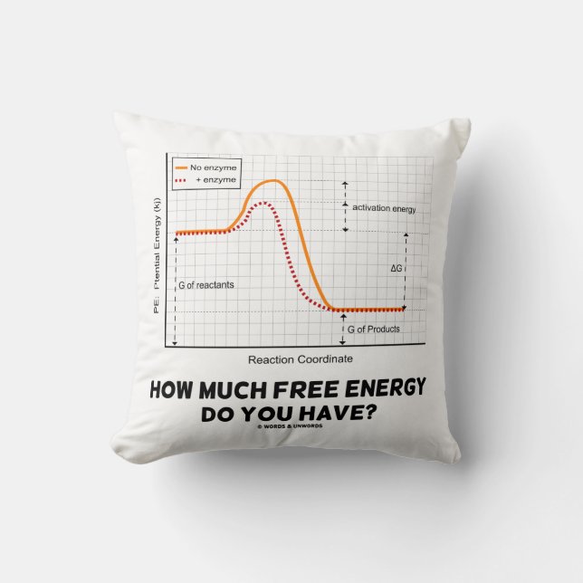 How Much Free Energy Do You Have? Chemistry Humour Cushion (Front)