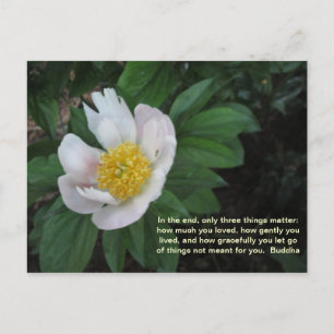 How Much You Loved Postcard