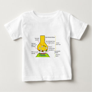 How Nerve Signals Are Sent With Synapses Diagram Baby T-Shirt