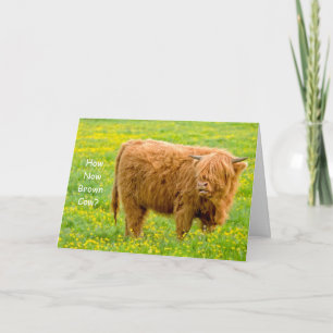 How Now Brown Cow? Birthday Card