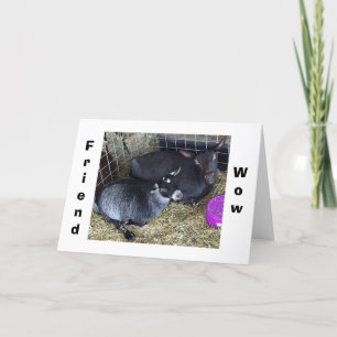 HOW OLD R U SAYING YOU ARE THIS YEAR FRIEND? CARD