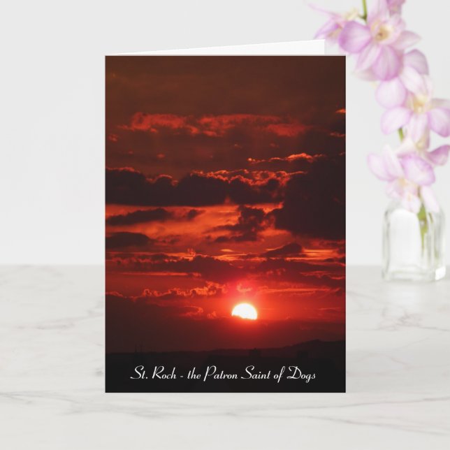 How St. Roch Became the Patron Saint of Dogs Card (Orchid)