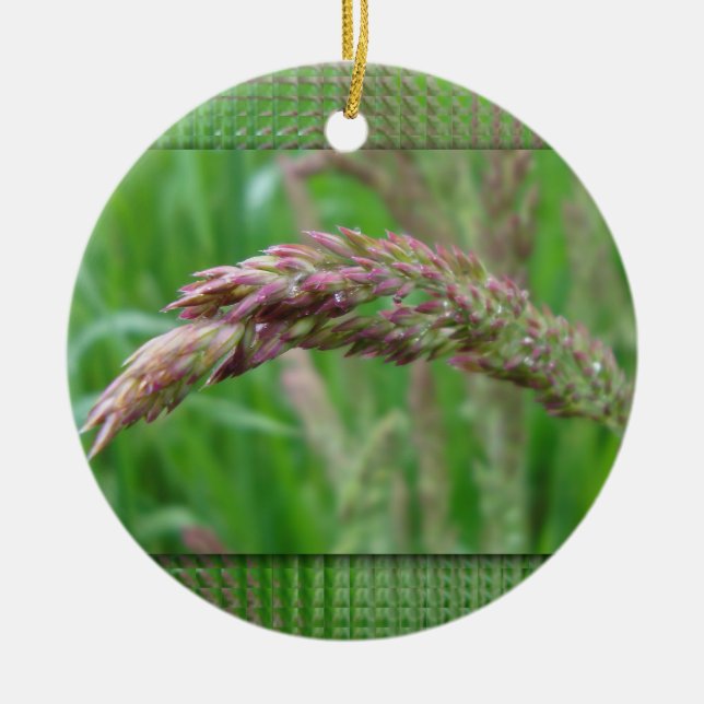 How the Grass Grows Ornament (Front)