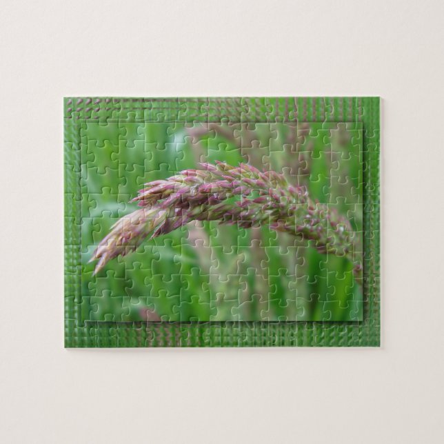 How the Grass Grows Puzzle (Horizontal)