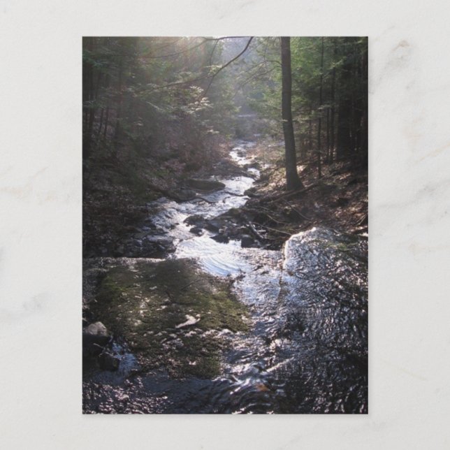 how the water flows postcard (Front)