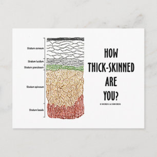 How Thick-Skinned Are You? (Epidermis Skin Layers) Postcard