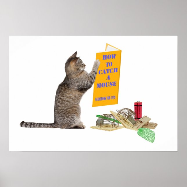 How to catch a mouse poster (Front)
