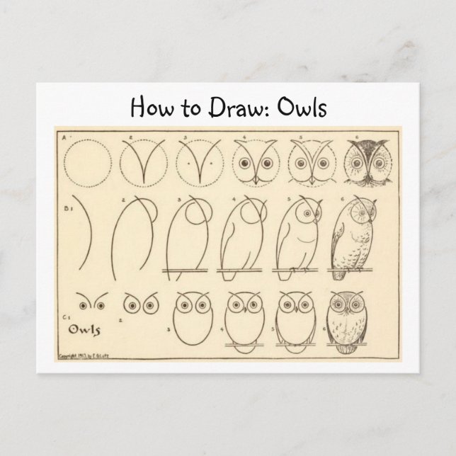 How to Draw an Owl Vintage Postcard (Front)