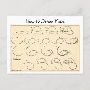 How to Draw Mice Vintage Postcard