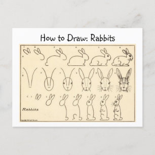 How to Draw Rabbits Vintage Postcard
