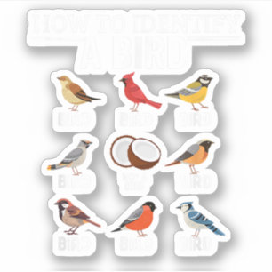 How To Identify A Bird Funny Bird Watching