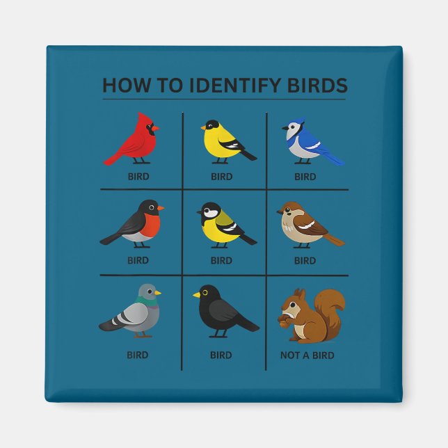 How to identify a bird funny birdwatching cute magnet (Front)