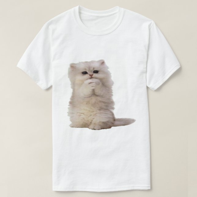 How to Make a Cat Ramp T-Shirt (Design Front)