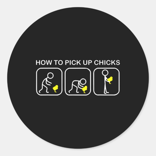How To Pick Up Chicks Funny Chicken  Classic Round Sticker (Front)