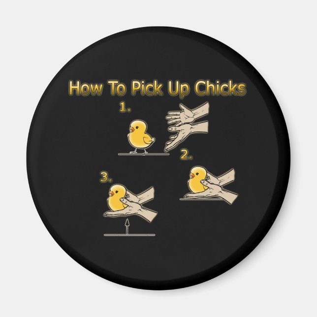 How To Pick Up Chicks Funny Directions Magnet (Front)