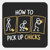 How to Pick up Chicks Funny Sarcastic Sarcasm Joke