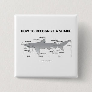 How To Recognise A Shark (Biology Humour) 15 Cm Square Badge