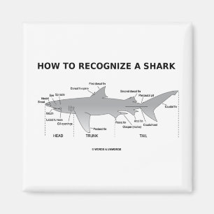 How To Recognise A Shark (Biology Humour) Magnet