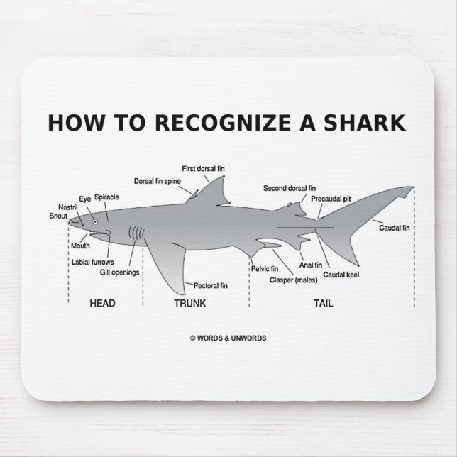 How To Recognise A Shark (Biology Humour) Mouse Pad (Front)