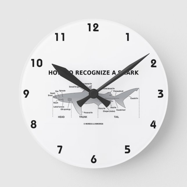 How To Recognise A Shark (Biology Humour) Round Clock (Front)