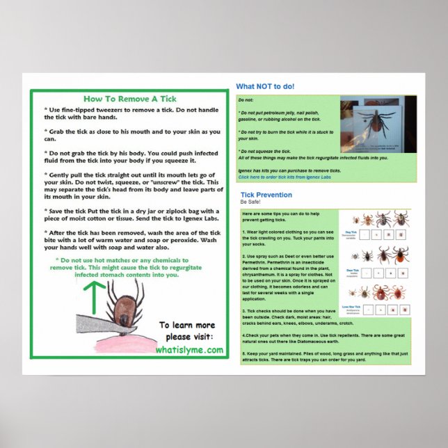 How To Remove a Tick Poster for Lyme Awareness (Front)