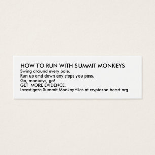 HOW TO RUN WITH SUMMIT MONKEYS