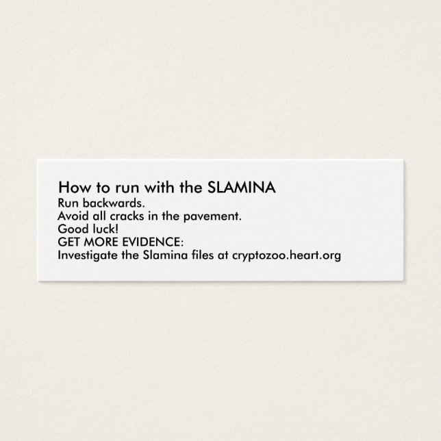 How to run with the SLAMINA (Front)