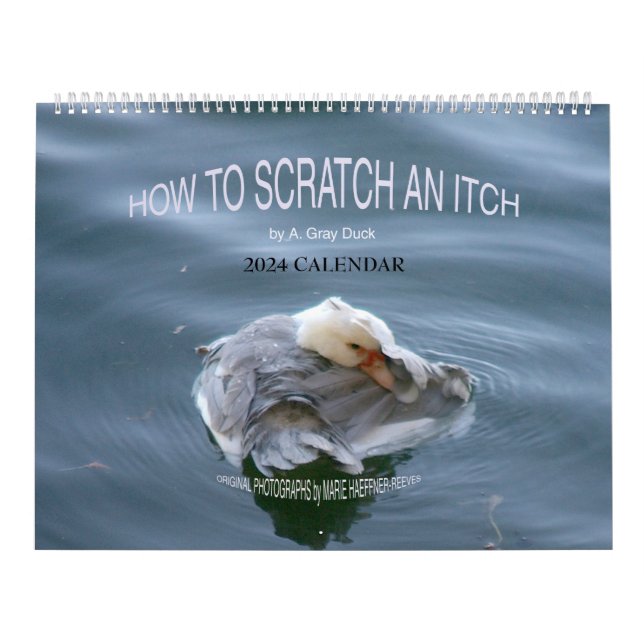 HOW TO SCRATCH AN ITCH by A. Grey Duck 2024 Calendar (Cover)