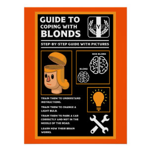 How To Understand Blonds Poster