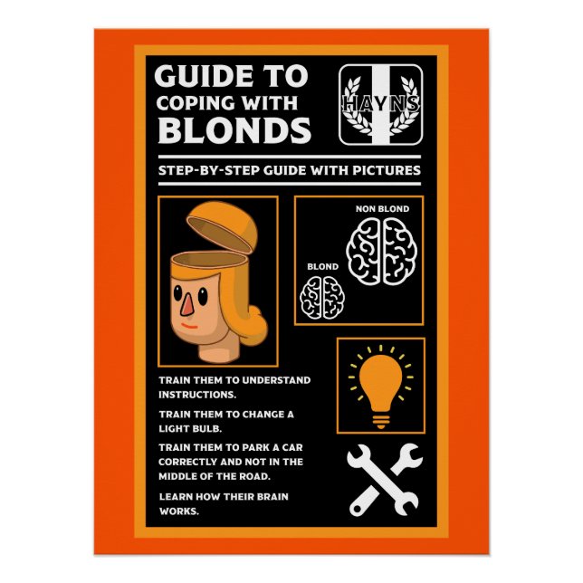 How To Understand Blonds Poster (Front)