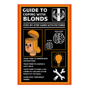 How To Understand Blonds Poster