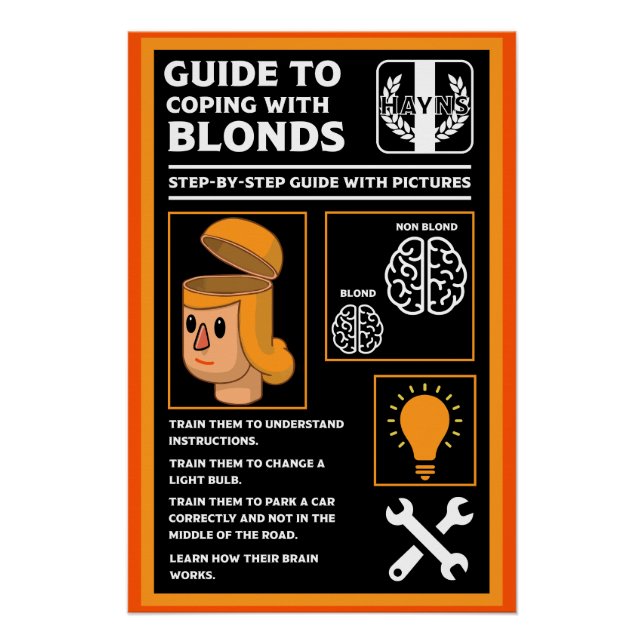 How To Understand Blonds Poster (Front)