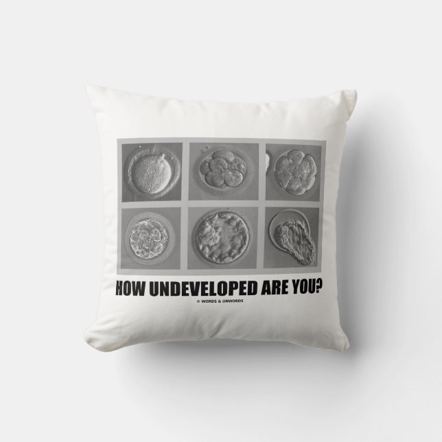 How Undeveloped Are You? Embryos / Zygotes Cushion (Front)