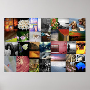 How We See It We Love Lee Daniels Poster