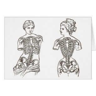 How Women Suffer for Beauty: The Impact of Corsets
