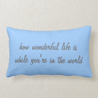 How wonderful lumbar cushion
