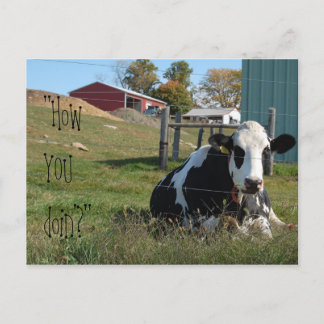 "How YOU doin'?" cow postcard