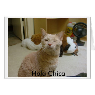 How you doin?, Hola Chica