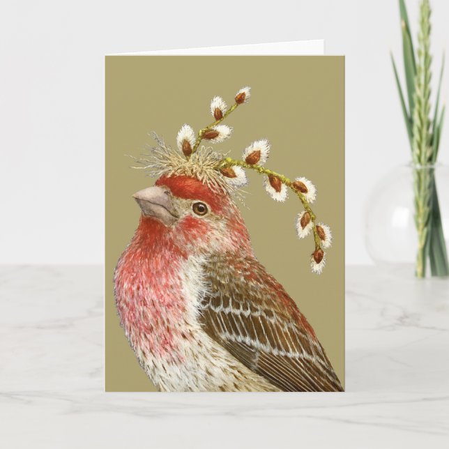 Howard the house finch card (Front)