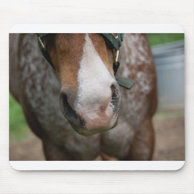 Howdy! Mouse Pad (Front)