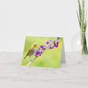 Howdy/Yellow Bird on Purple Flowering Branches Holiday Card