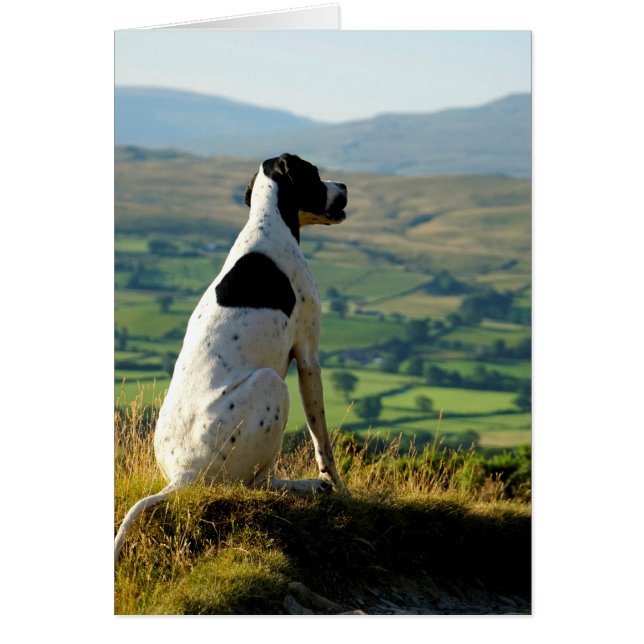 Howgillhounds cards Pointer and landscape (Front)