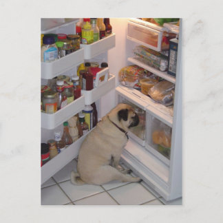 Howie Pee Pugpants Postcard