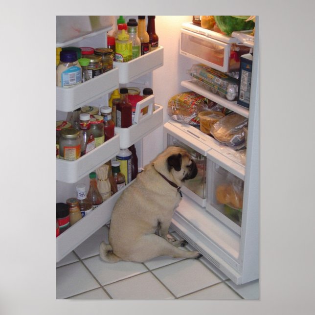 Howie Pee Pugpants Raids the Fridge Poster (Front)