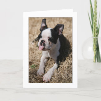 Howie Sticks His Tongue Out Card