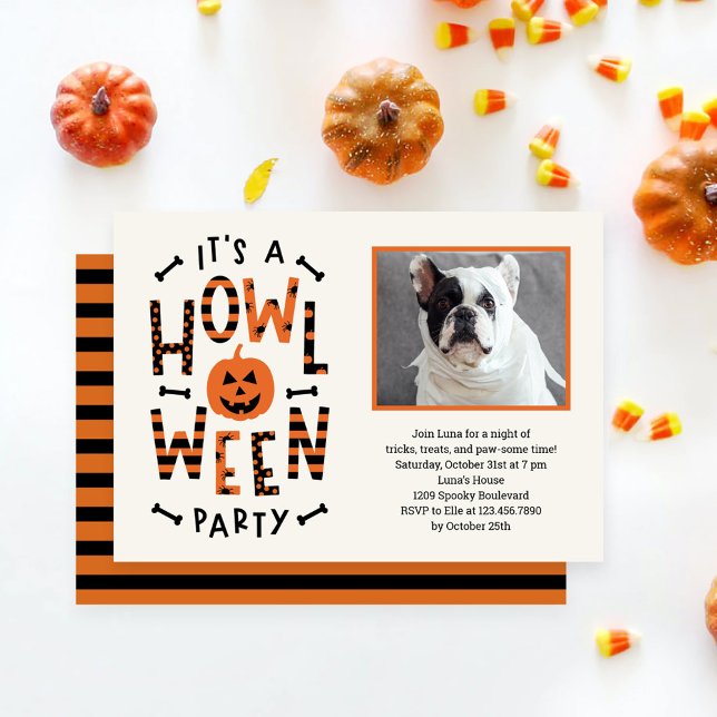 Howl-O-Ween Dog Halloween Party Invitation (Creator Uploaded)