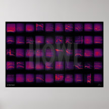 Howl: The Secret Language of Wolves